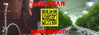 индика Будённовск