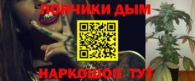 индика Будённовск