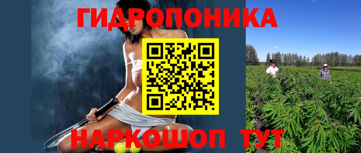 Бошки Шишки SATIVA & INDICA  Вход с VPN  МАРИХУАНА LSD WEED  Конопля VHQ  Междуреченск 